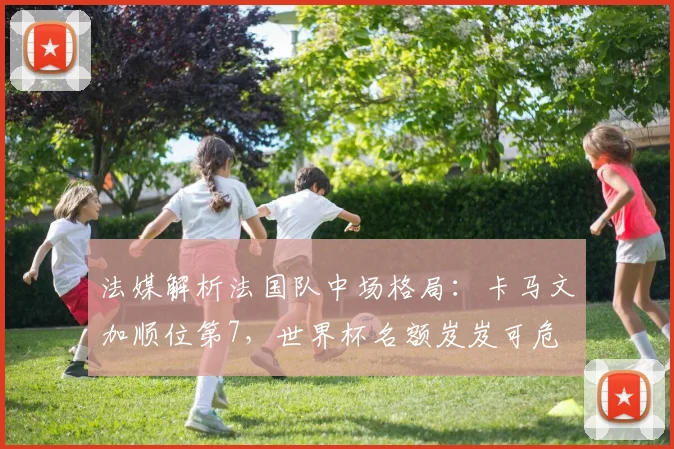 法媒解析法国队中场格局：卡马文加顺位第7，世界杯名额岌岌可危
